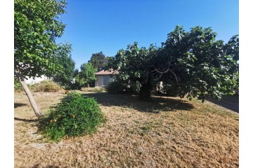 maison jardin avec dépendances